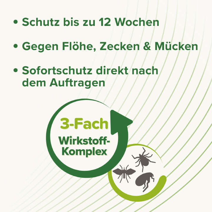 beaphar Zecken- und Flohschutz SPOT-ON 3 x 2 ml